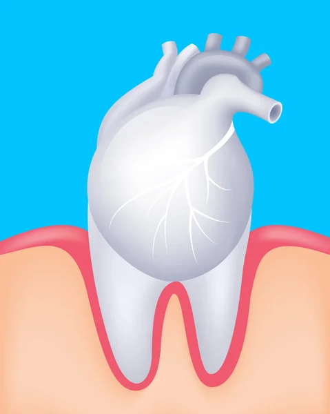 Nsan Kalbi Diş Bir Ortak Olarak Ağız Sağlığı Kalp Hastalığı — Stok Vektör