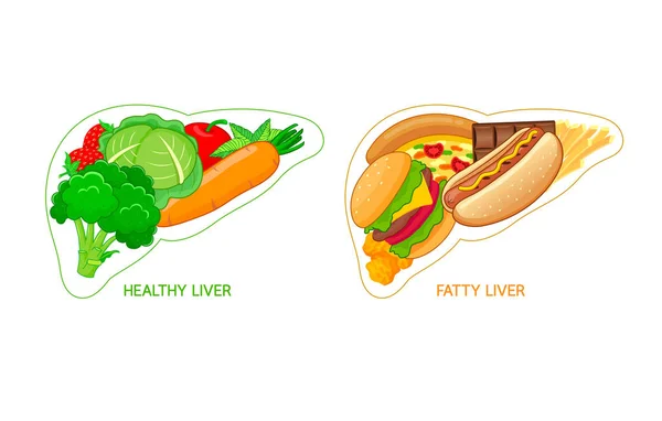 Cibo Sano Malsano Forma Fegato Concetto Consapevolezza Epatica Grassa Illustrazione — Vettoriale Stock