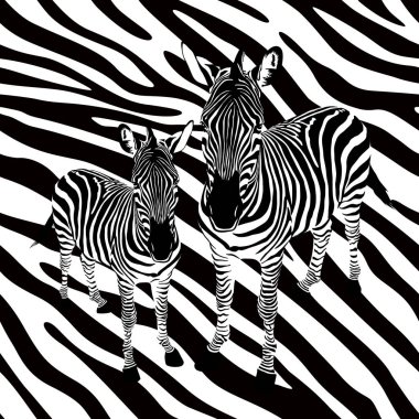 Soyut arka plandaki zebra, kusursuz desen. Siyah beyaz, vahşi hayvan dokusu. tasarım trendy kumaş, illüstrasyon.