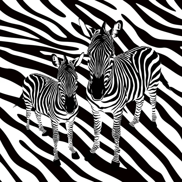 Zebra Abstract Background Seamless Pattern Black White Wild Animal Texture — Stock Vector