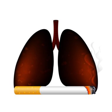 Sigarayı bırak, dünya tütün günü yok. Sigara içmek insan organlarına zararlıdır. Organ hasarı ve prematüre ile sonuçlanır. Illüstrasyon.