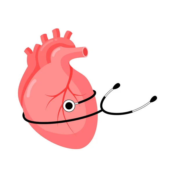Corazón Humano Abstracto Con Estetoscopio Concepto Atención Médica Ilustración Vectorial — Archivo Imágenes Vectoriales