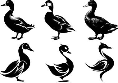 Ördek vektör seti koleksiyonu, ayrıntılı siluet ve çeşitli pozlardaki ördeklerin logo, dövme, şablon ve dekoratif çizimler için çizimleri.