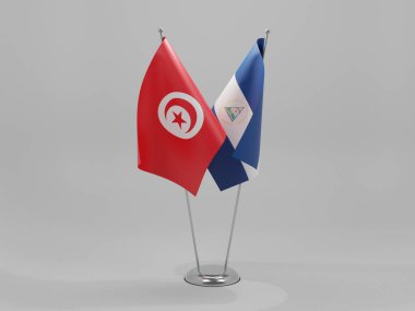 Nikaragua - Tunus İşbirliği Bayrakları, Beyaz Arkaplan - 3D Render