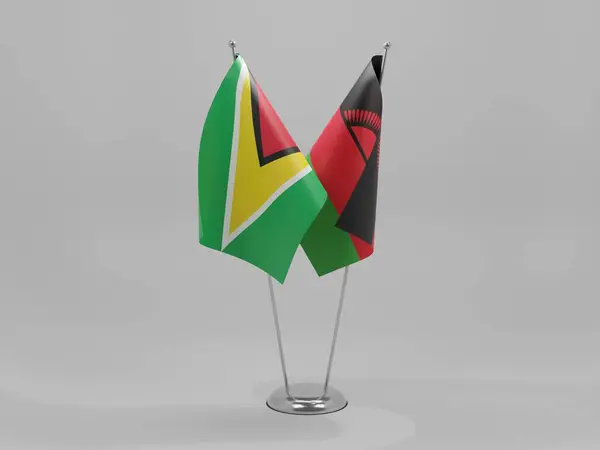 Malawi Bandeiras Cooperação Guiana Fundo Branco Render — Fotografia de Stock
