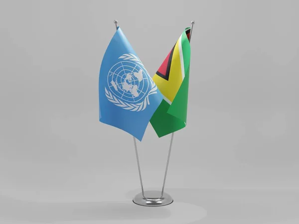 ガイアナ 国連協力旗 白の背景 3Dレンダリング — ストック写真