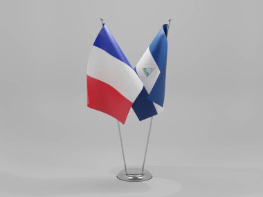 Nikaragua - Fransa İşbirliği Bayrakları, Beyaz Arkaplan - 3D Render