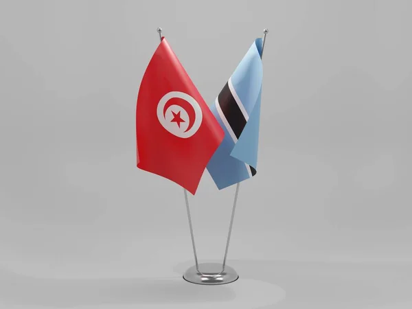 Botswana Tunisie Drapeaux Coopération Fond Blanc Render — Photo