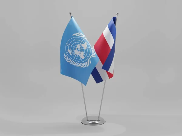 コスタリカ 国連協力旗 白い背景 3Dレンダリング — ストック写真