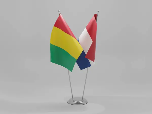 Países Bajos Banderas Cooperación Guinea Fondo Blanco Render — Foto de Stock