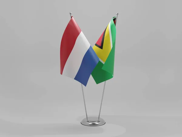 Guyana Nizozemí Spolupráce Vlajky Bílé Pozadí Render — Stock fotografie