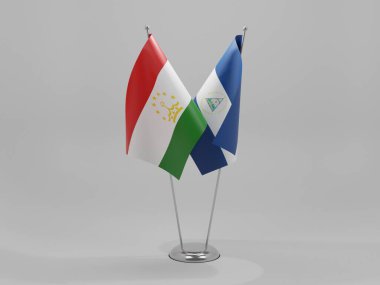 Nikaragua - Tacikistan İşbirliği Bayrakları, Beyaz Arkaplan - 3D Yapılandırma