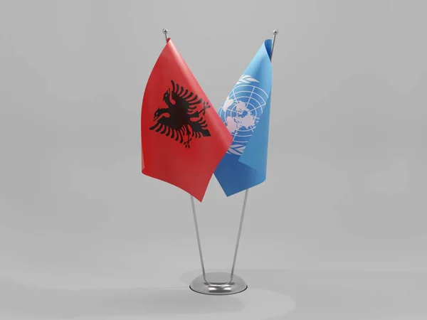 Nations Unies Albanie Drapeaux Coopération Fond Blanc Render — Photo