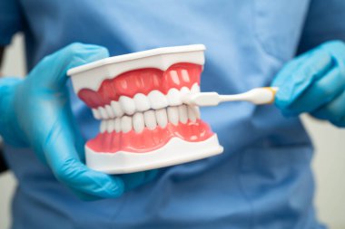 Diş fırçasıyla dişleri temizleyen doktor hasta ve dişçiye diş hekimliği dersi veriyor..