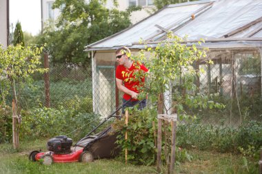 Kırmızı tişörtlü ve güneş gözlüklü genç adam güneşli bir yaz gününde köyün arka bahçesindeki çimenleri biçer..