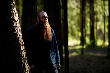 Sakallı adam. Yaz aylarında karanlık ormanın dışında güneşli bir günde gözlüklü çok uzun sakallı ciddi, kısa saçlı beyaz saçlı yetişkin bir adamın portresi.