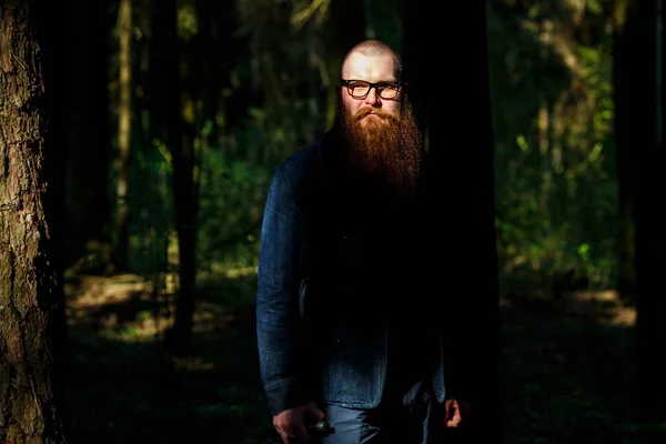 Bearded man. Portrait of an serious short-haired caucasian adult man with a very long beard in glasses on a sunny day outside in the dark forest in summer.