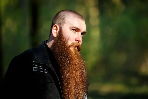 Bearded man. Portrait of an serious short-haired caucasian adult man with a very long beard in casual clothes on a sunny day outside in the dark forest in summer. Close up.