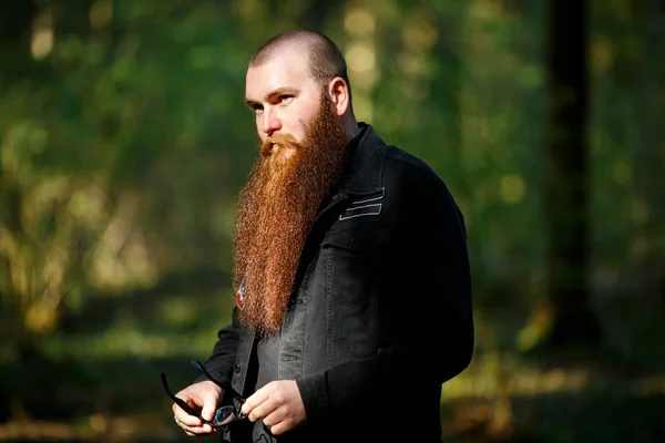 Bearded man. Portrait of an serious short-haired caucasian adult man with a very long beard in casual clothes on a sunny day outside in the dark forest in summer.