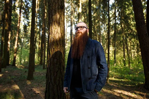 Bearded man. Portrait of an serious short-haired caucasian adult man with a very long beard in glasses on a sunny day outside in the dark forest in summer.