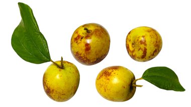 Beyaz arka planda gevrek ve lezzetli çikolatalı jujube..