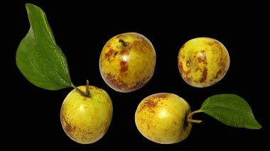 Siyah arka planda gevrek ve lezzetli çikolatalı jujube..