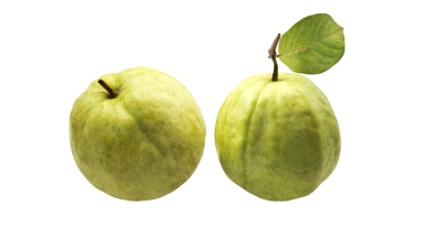 guava meyvesi şeffaf arkaplanda izole.