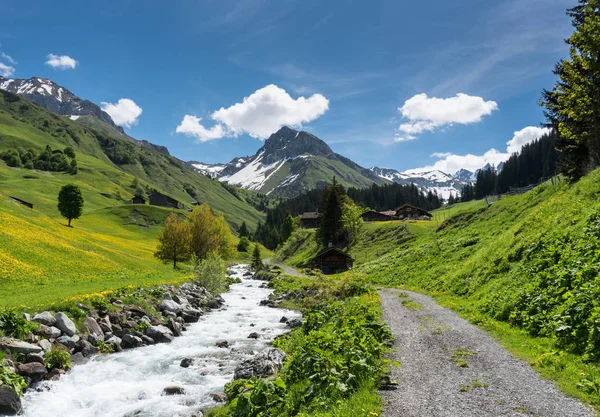 Beautiful Mountain Valley Klosters Summer Day Small Creek Running — Stock Photo, Image