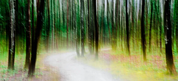 Oświetlone Drogi Światła Przez Bujny Las Zielony Abstrakcja Panoramowanie Stylu — Zdjęcie stockowe