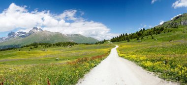 bir çakıl yol ile yaz aylarında pastoral dağ manzarası