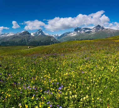 Yaz aylarında pastoral dağ manzarası