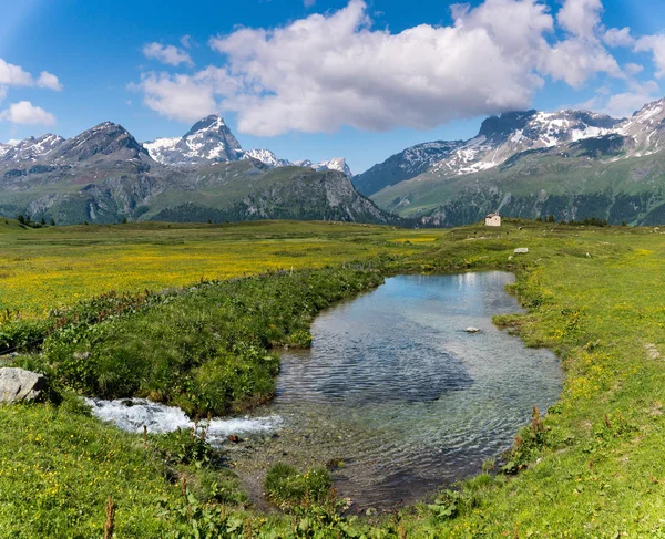 bir dere ve ön planda küçük gölet ile yaz aylarında pastoral dağ manzarası
