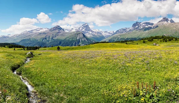 Küçük dağ dere ile yaz aylarında pastoral dağ manzarası