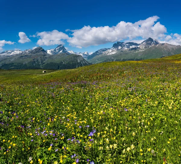 Paisagem Montanhosa Idílica Verão — Fotografia de Stock