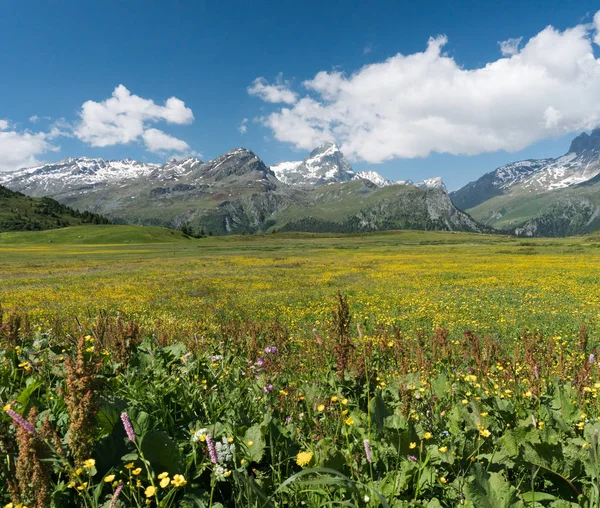 Yaz aylarında pastoral dağ manzarası