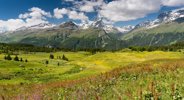 Yaz aylarında pastoral dağ manzarası