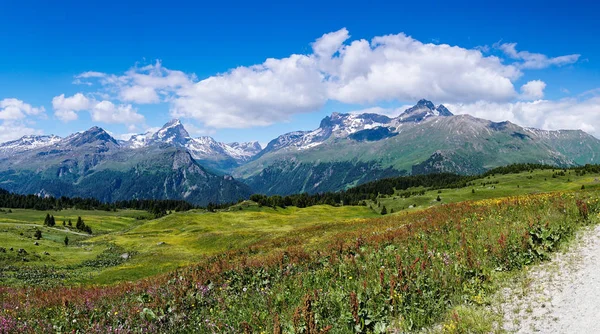 pastoral dağ manzarası kadar sağ tarafında bir çakıl yol ile yaz aylarında