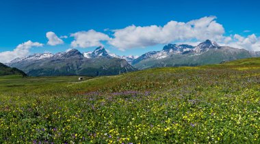 Yaz aylarında pastoral dağ manzarası