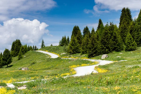 pastoral dağ manzarası kadar sağ tarafında bir çakıl yol ile yaz aylarında