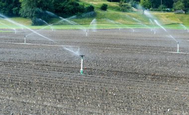 taze ekili tarım alanlarında sulama ve yağmurlama sistemi
