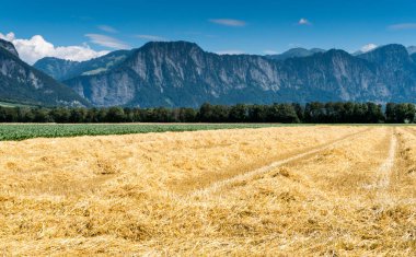 Tarım alanları ile taze arkasında sarı saman ve dağ manzara kesmek