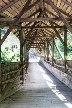 eski ahşap köprü gür yeşil orman içinde dar bir geçit crossing