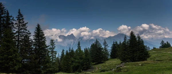 Yaz aylarında ön planda orman ile muhteşem İsviçre Alpleri dağ manzarası