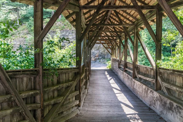 eski ahşap köprü gür yeşil orman içinde dar bir geçit crossing