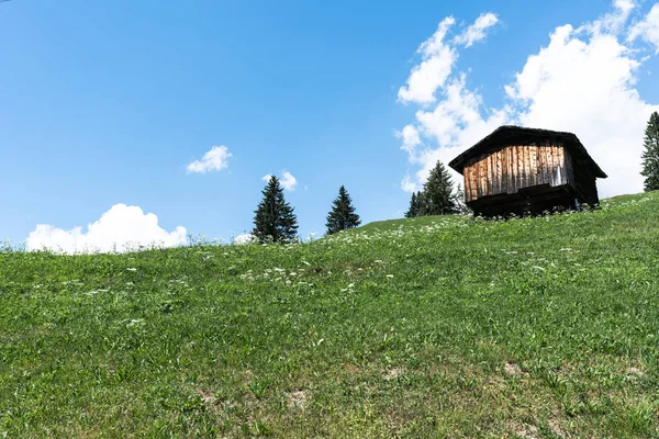 Kleine Houten Cottage Het Midden Een Idyllisch Berglandschap Zwitserland — Stockfoto