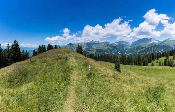 Wandelpad Leidt Langs Een Kuif Uit Een Met Gras Begroeide — Stockfoto