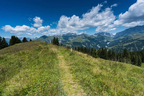 Wandelpad Leidt Langs Een Kuif Uit Een Met Gras Begroeide — Stockfoto