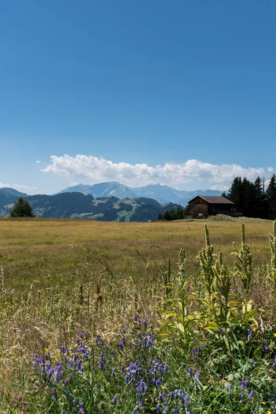 Stare Drewniane Stodoły Łąka Pełna Dzikich Kwiatów Środku Szwajcarskiej Górskiej — Zdjęcie stockowe