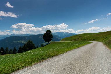  bir tezgah ve manzaranın bir kadın uzun yürüyüşe çıkan kimse sittinh ile yaz aylarında dağ manzara