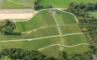 bağ, yatay, Üzüm şarapları ve yukarıdan görünüm